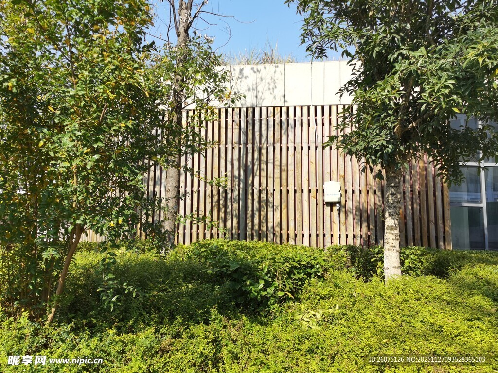 户外绿植环绕的木质建筑