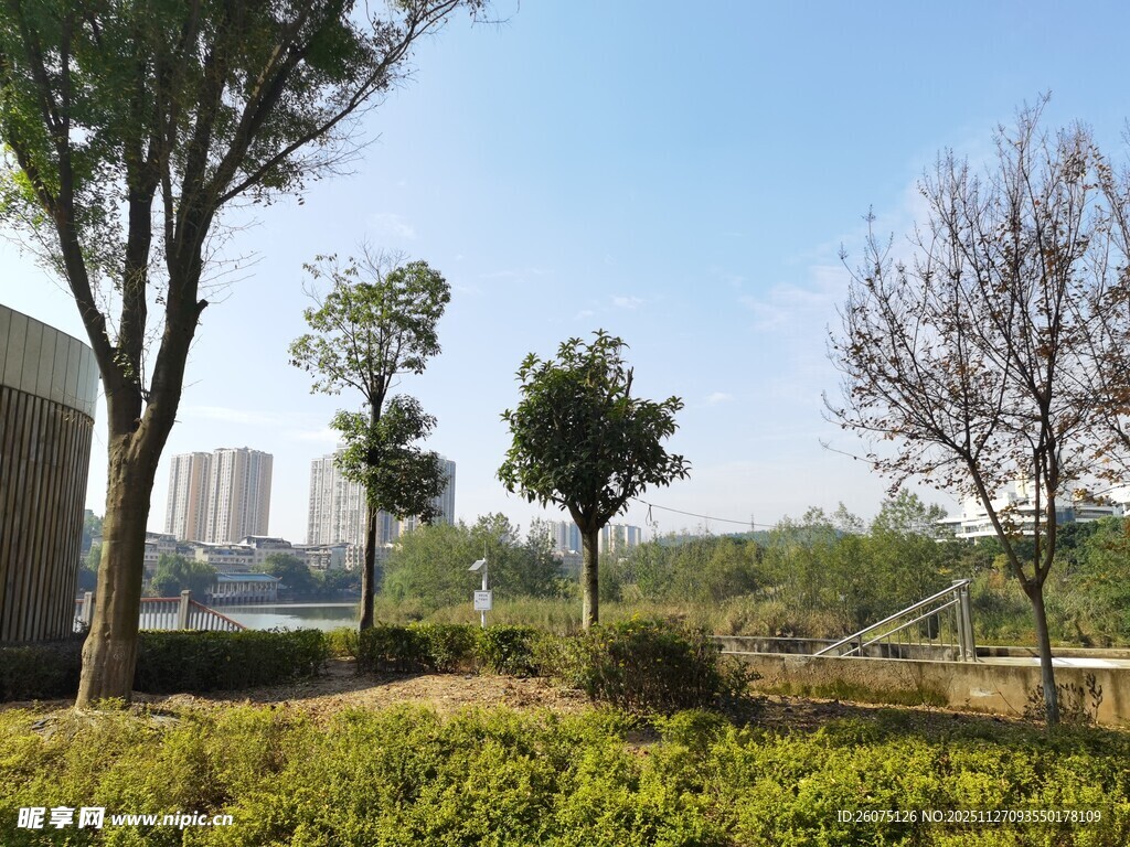 城市中的绿意景观