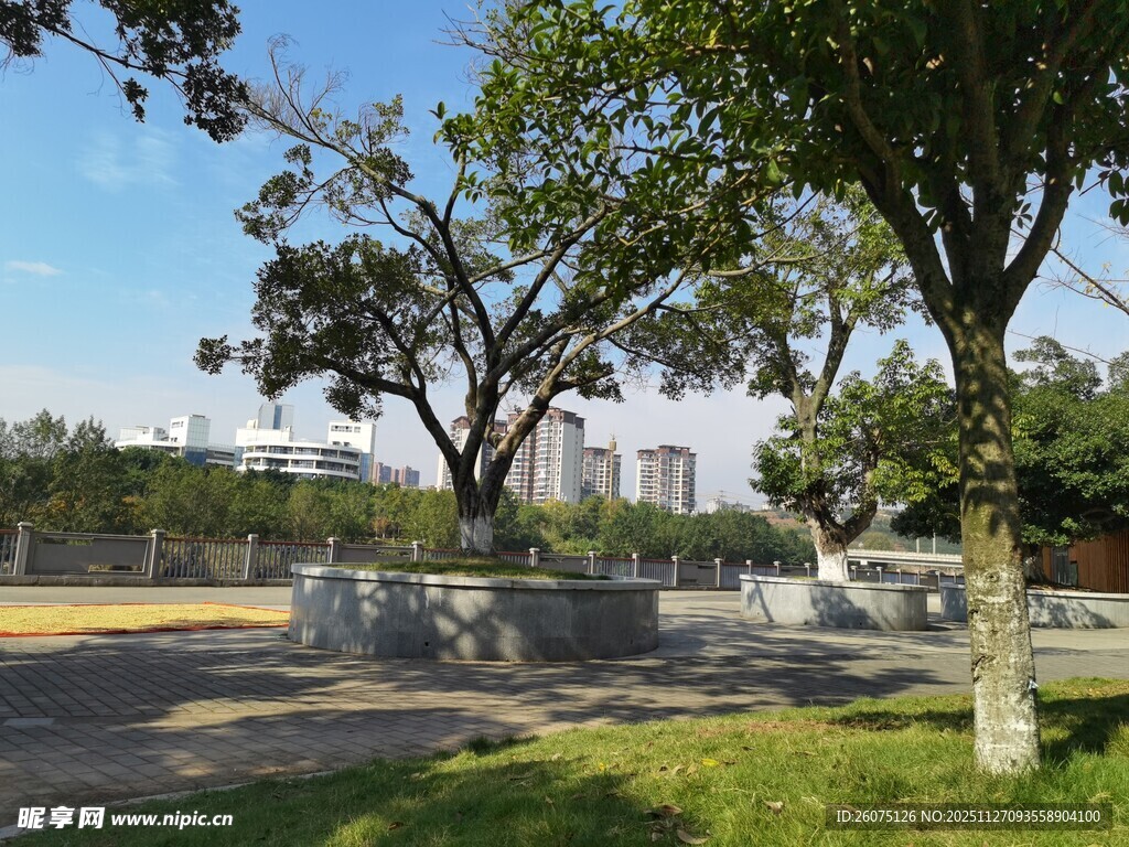 公园绿树景观