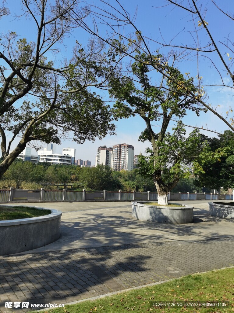 城市公园中的静谧休憩空间