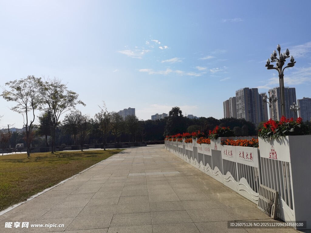 城市公园中的宽阔步道