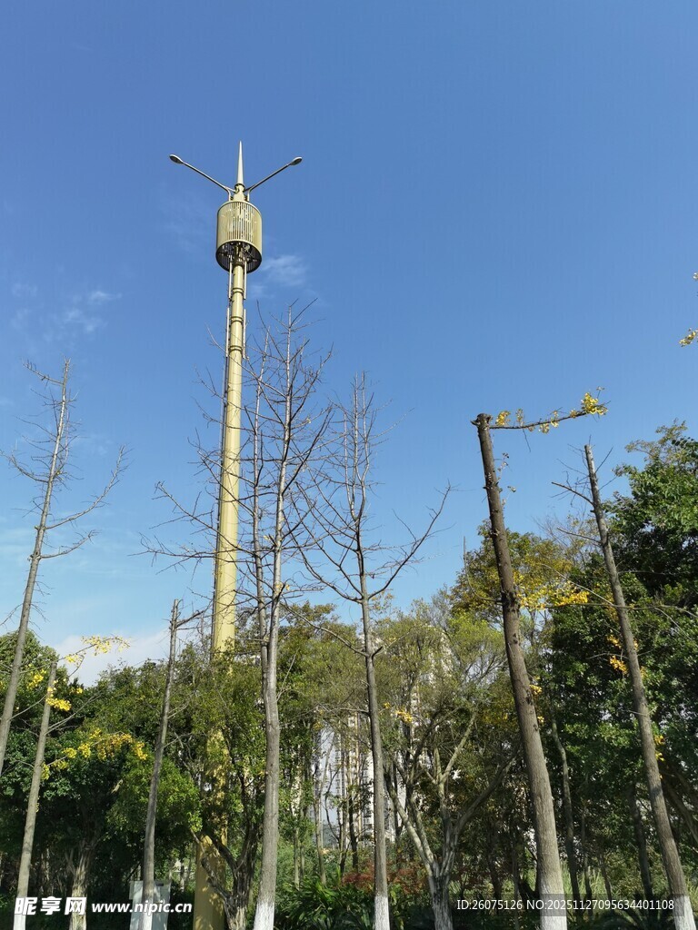 高耸的通信塔与周边树木