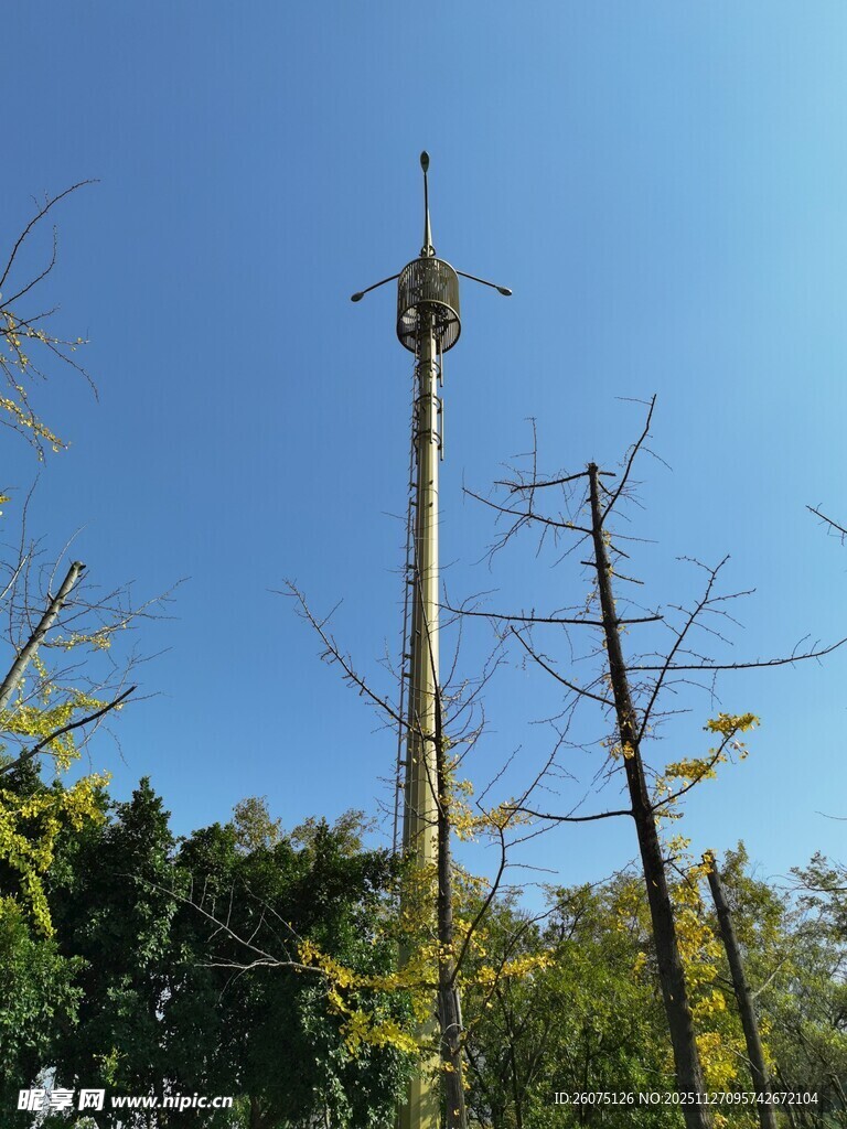 高耸的瞭望塔屹立于林间