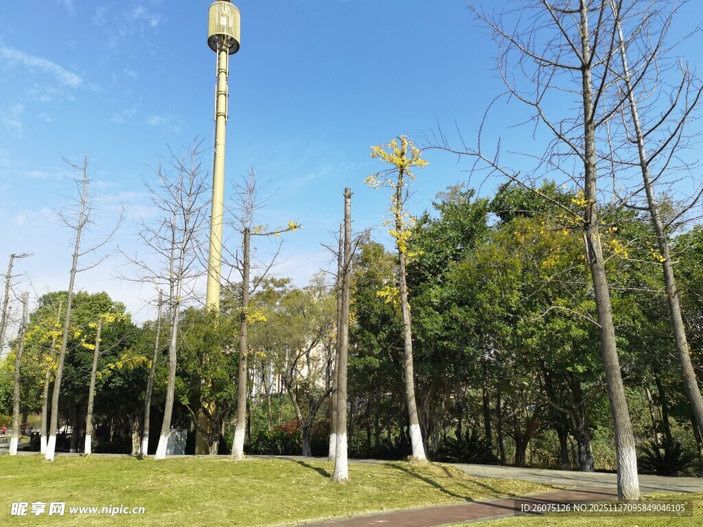 户外通信基站与绿化景观