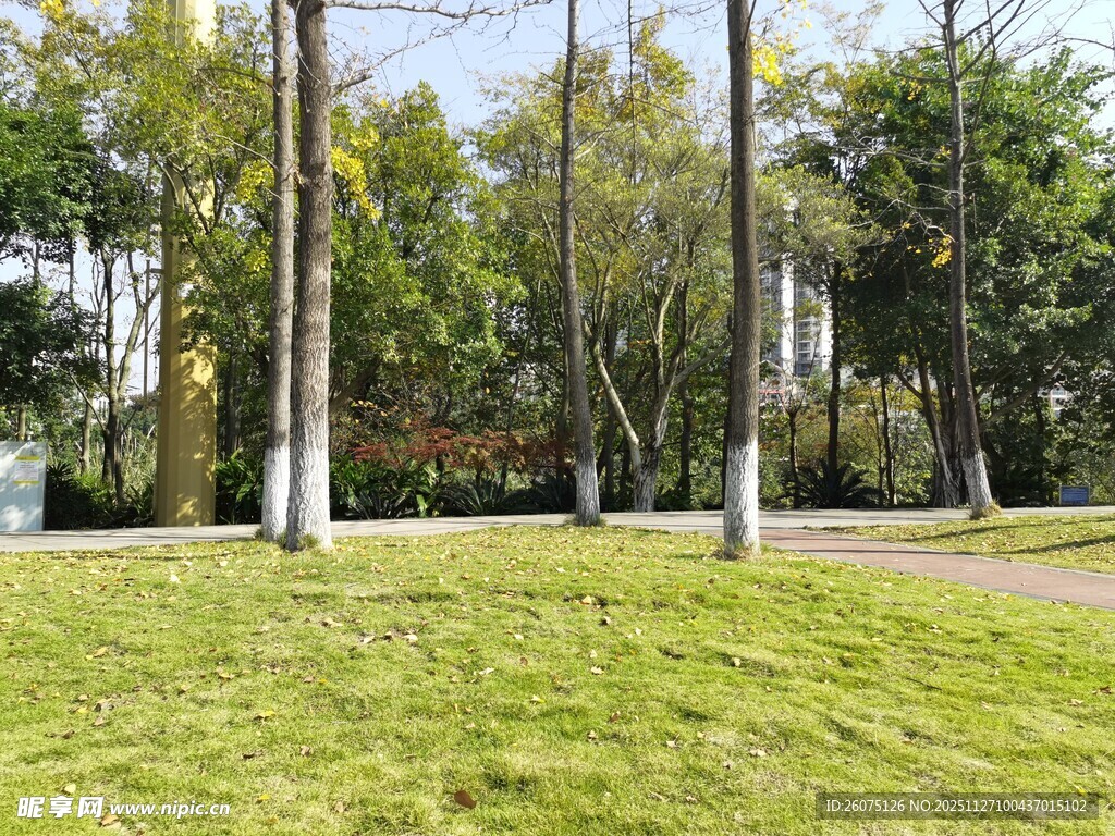 城市中的绿意草坪景观