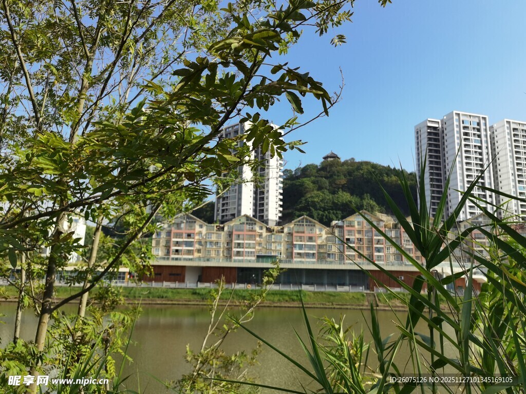 河畔绿植掩映的城市建筑