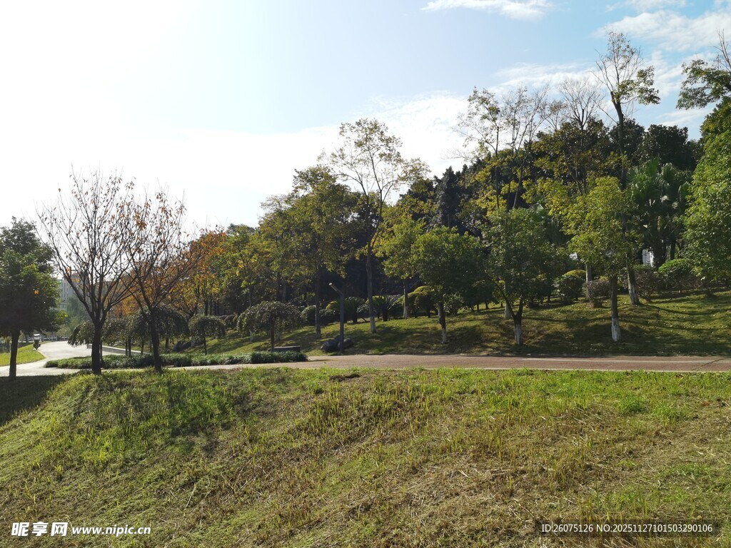 郊外绿意盎然的开阔风景