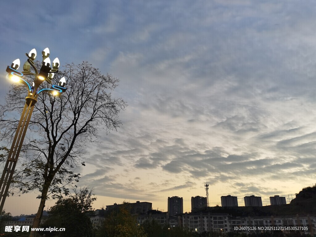 城市黄昏下的路灯与树木