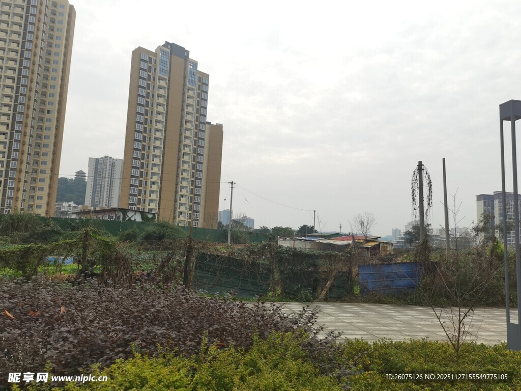 城市景观中的高楼与绿植