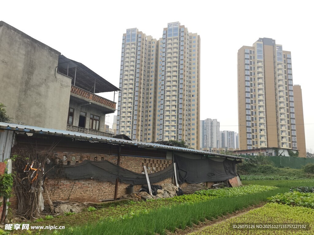 乡村与城市建筑对比景象