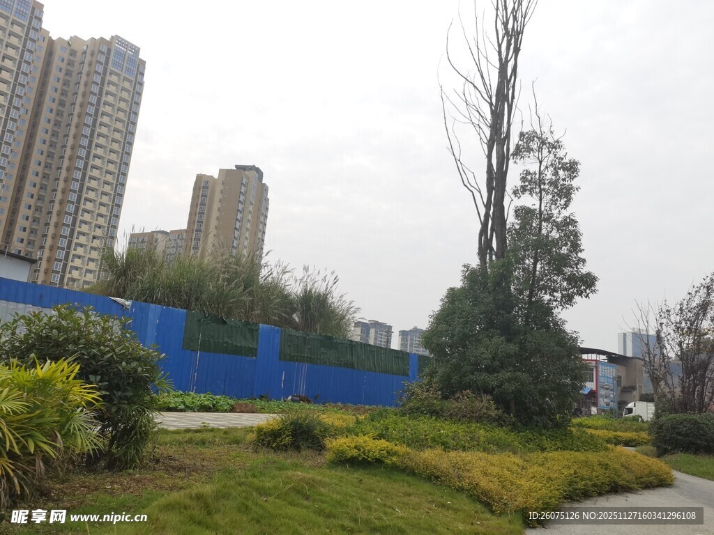 城市中的绿植景观