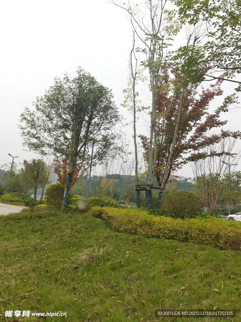 户外绿意盎然的自然景致