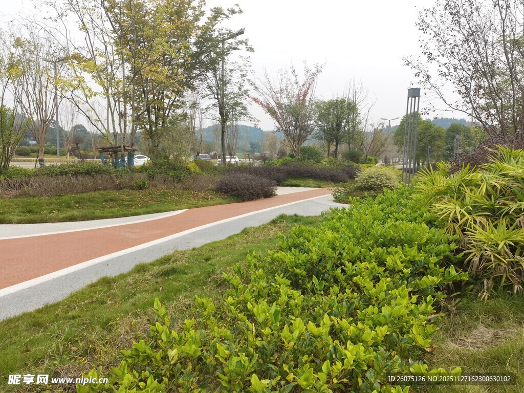 公园中蜿蜒的彩色步道