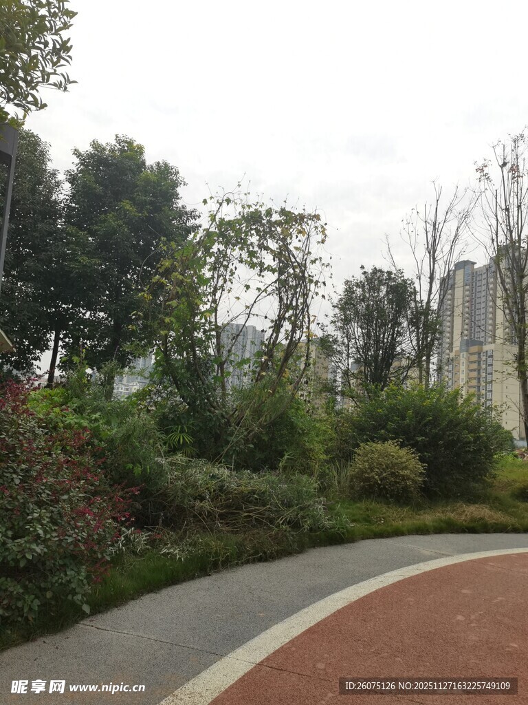 城市中的静谧园林小径