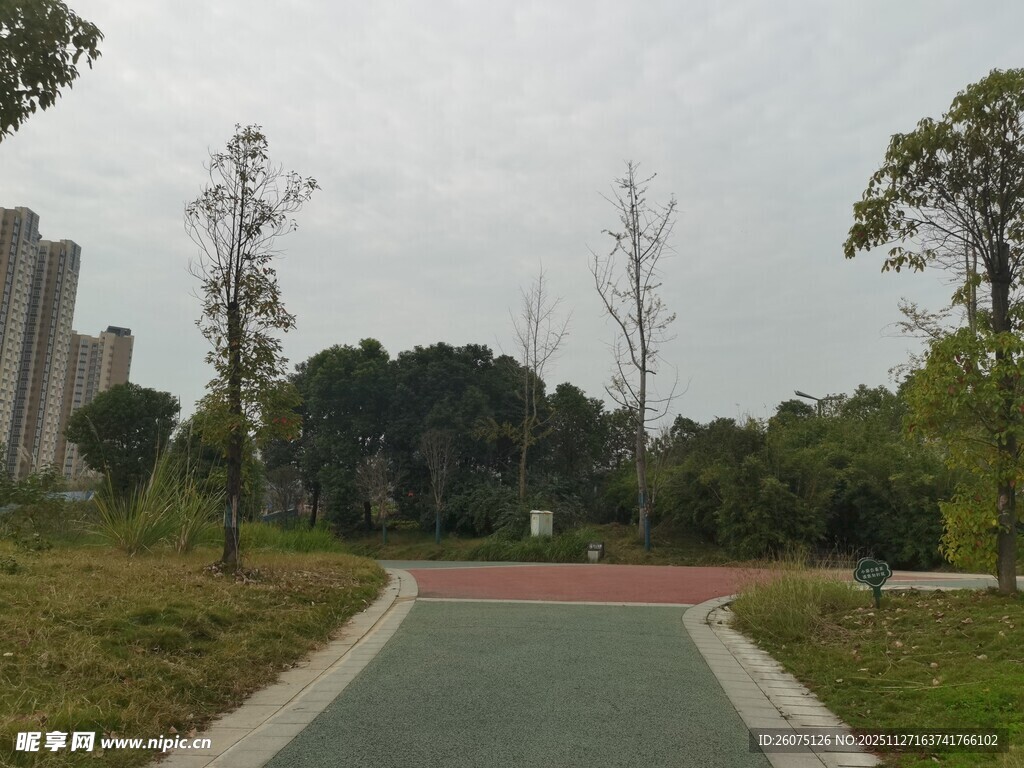 城市中的宁静休闲步道