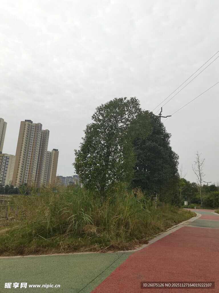 城市中红绿相间的步道景观