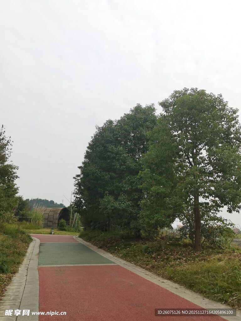 户外彩色步道旁绿树成荫