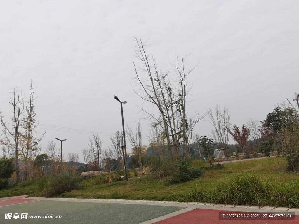 户外空旷的绿化运动场地