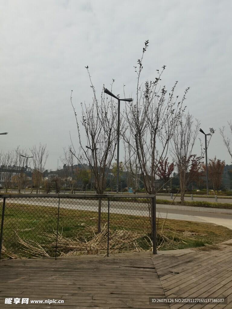 户外公园的空旷休闲场景