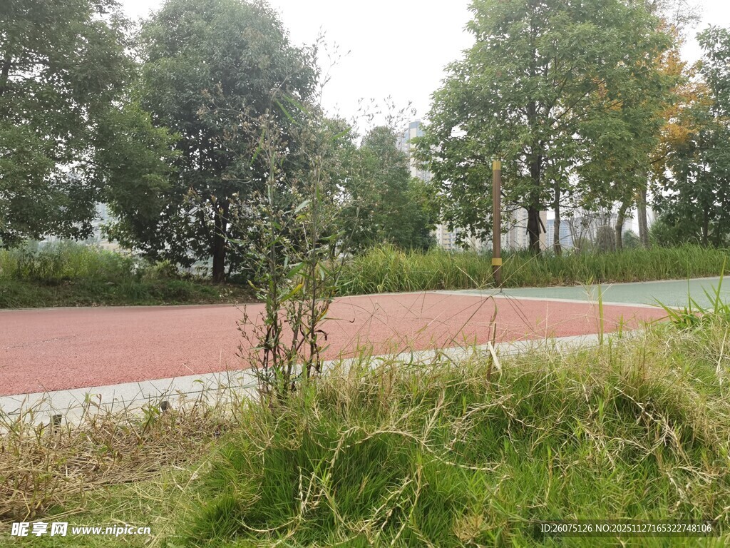 户外公园的休闲运动场景