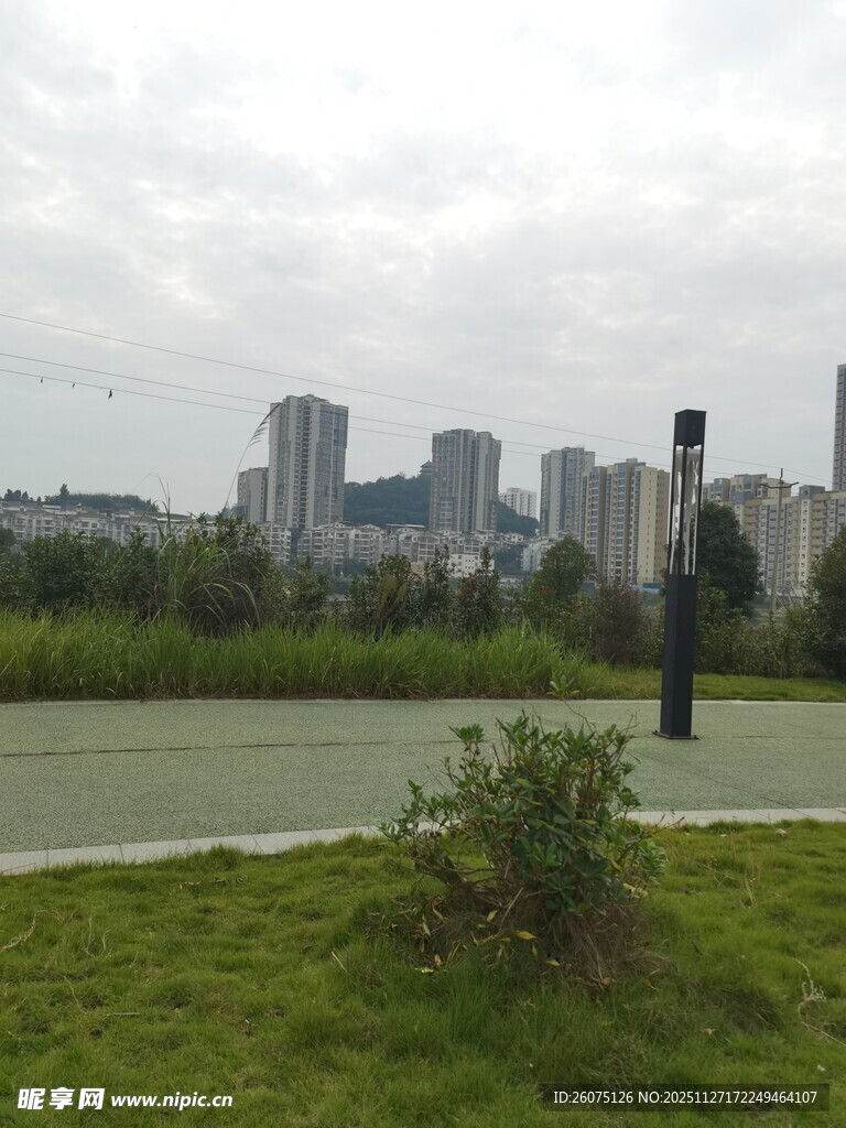 城市绿地旁的高楼景观
