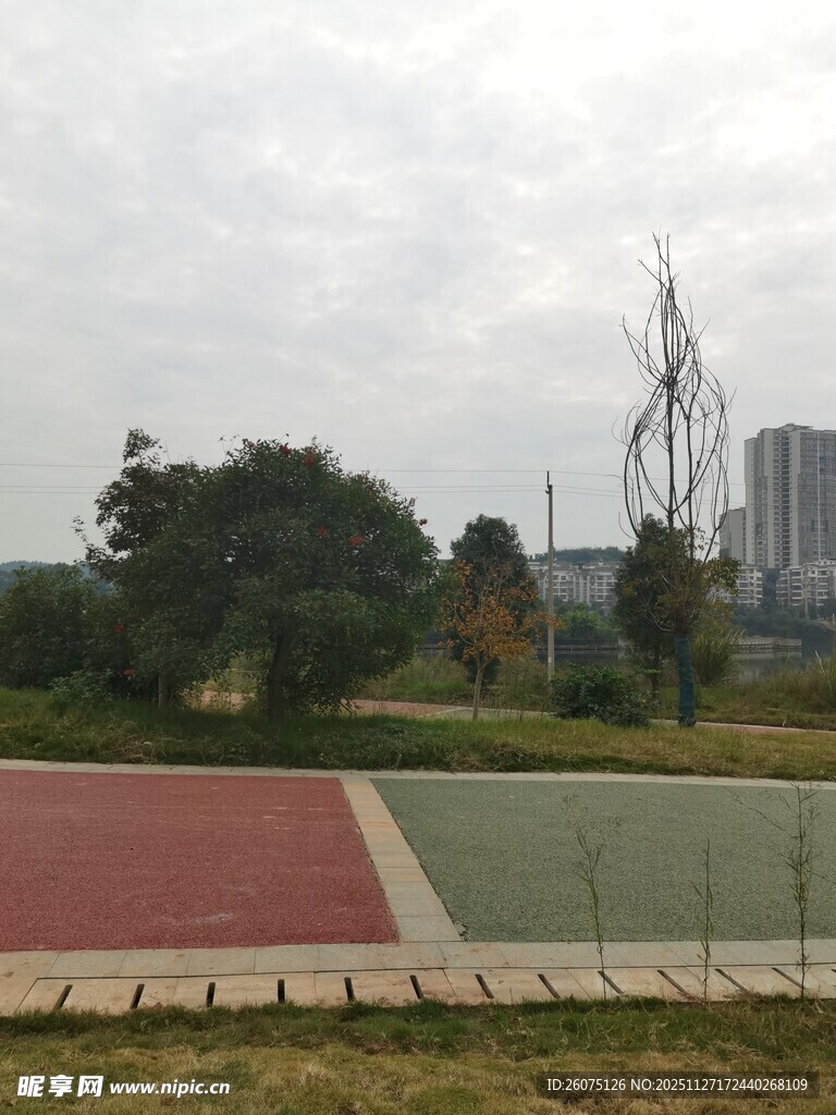 户外运动场与周边景致