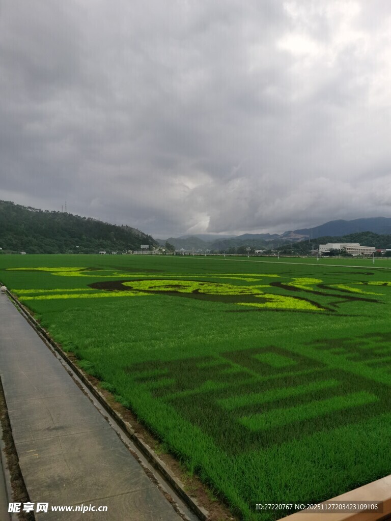 雨中田园风光