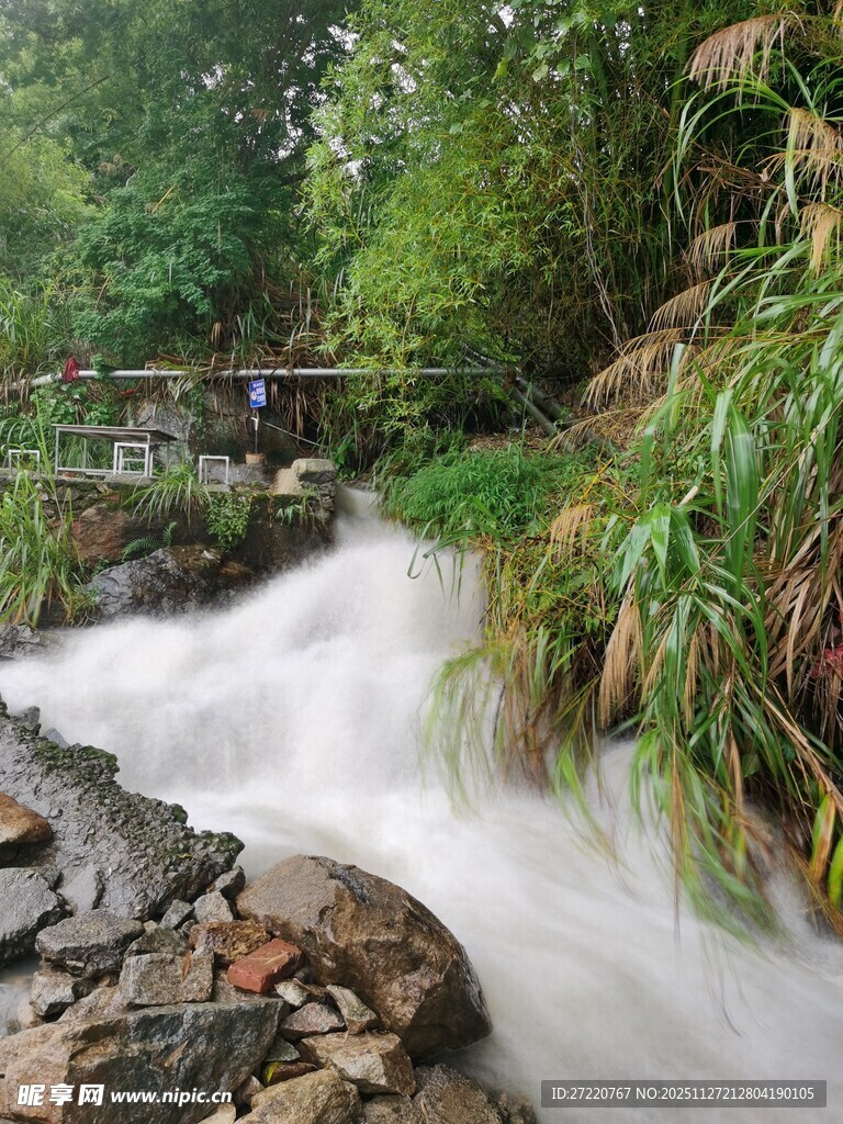 山间溪流潺潺流淌