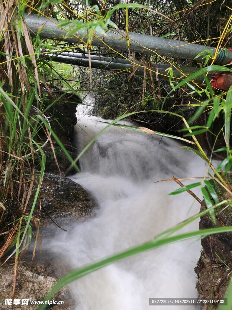 山间溪流潺潺流淌