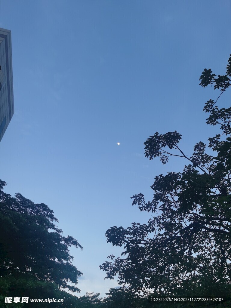 蓝天绿树间的静谧景象