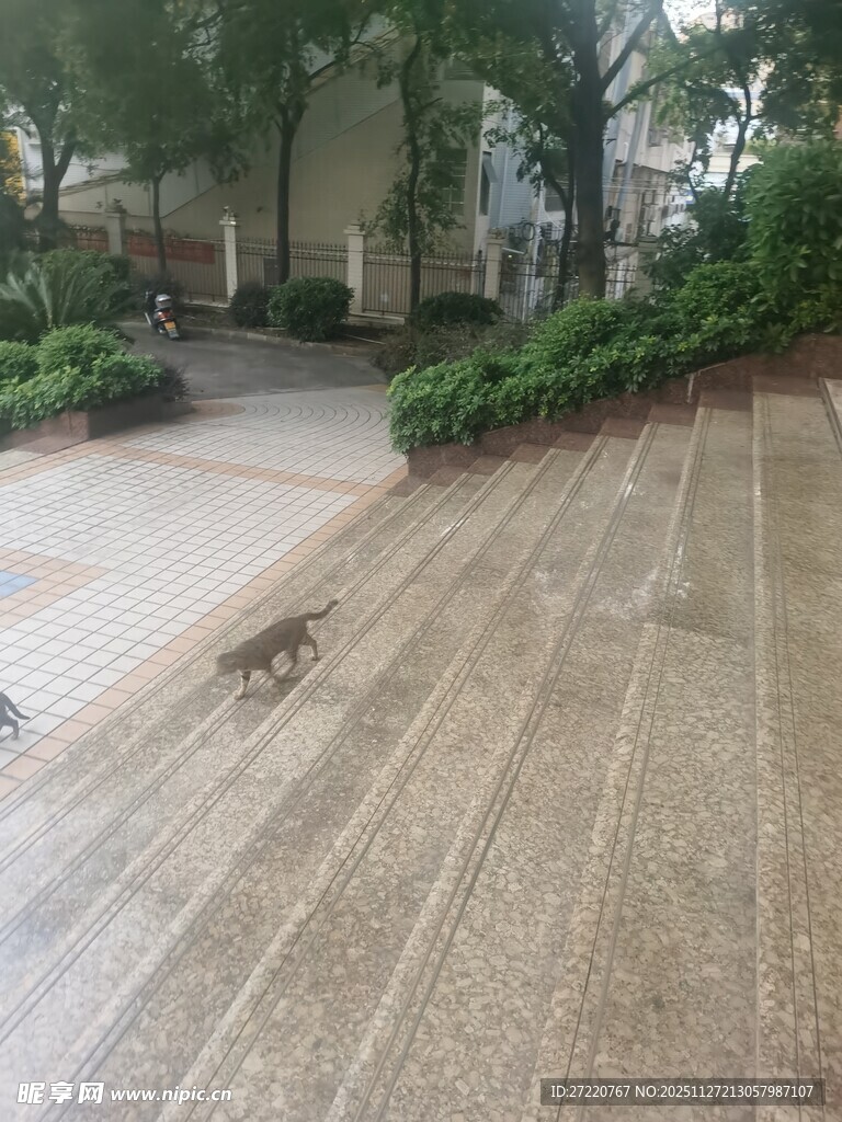 整洁的户外水泥地面景观