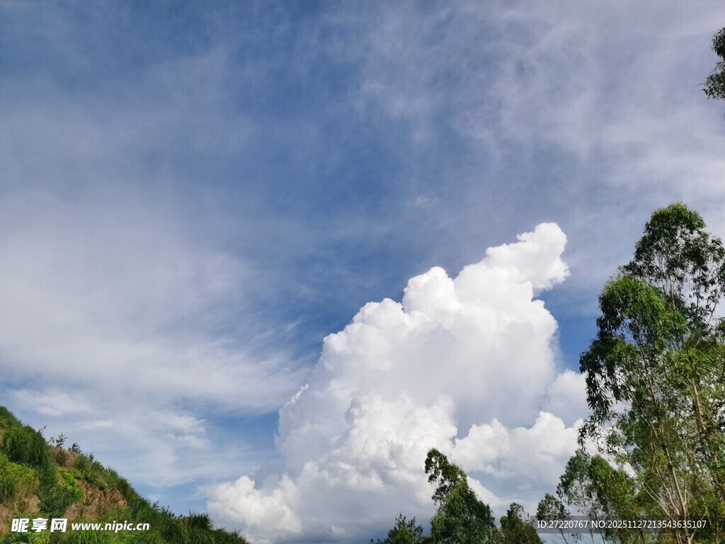 蓝天白云下的葱郁山林