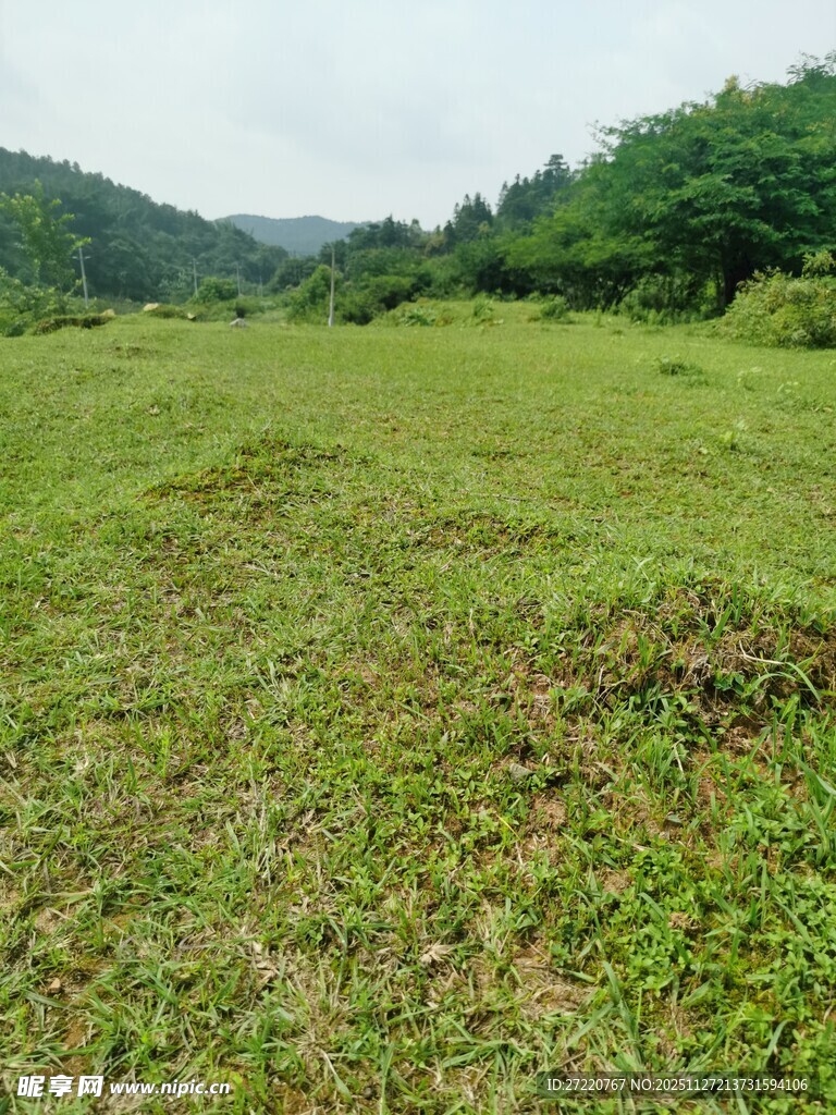 广袤绿野 自然清新风光