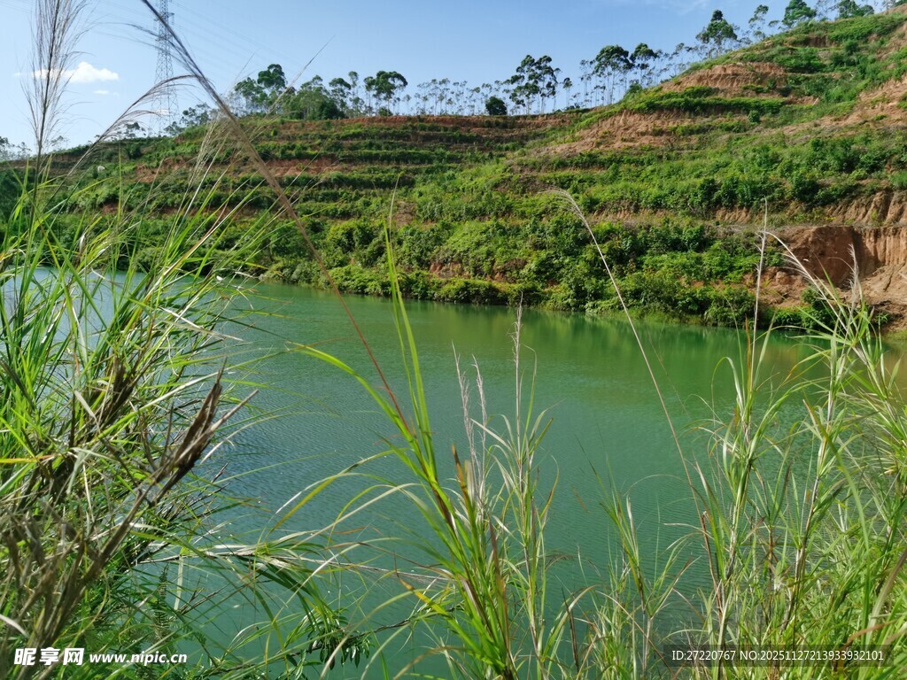 翠绿湖畔 自然清新景致