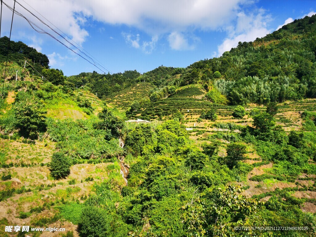 青山绿野间的自然美景