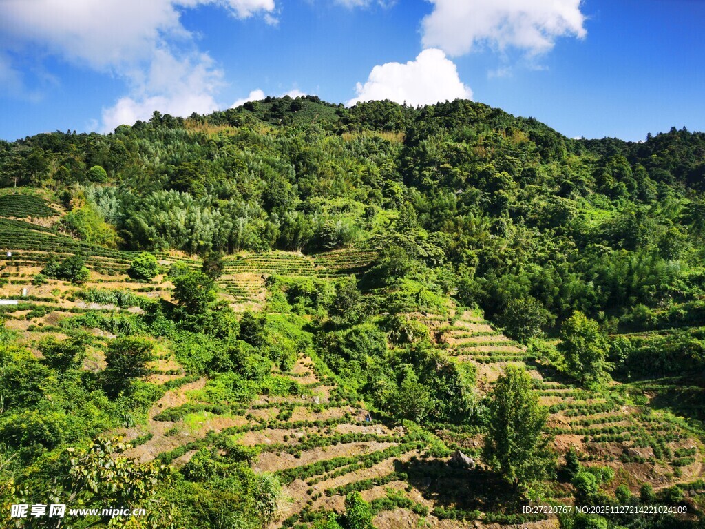 山间绿意盎然 丘陵