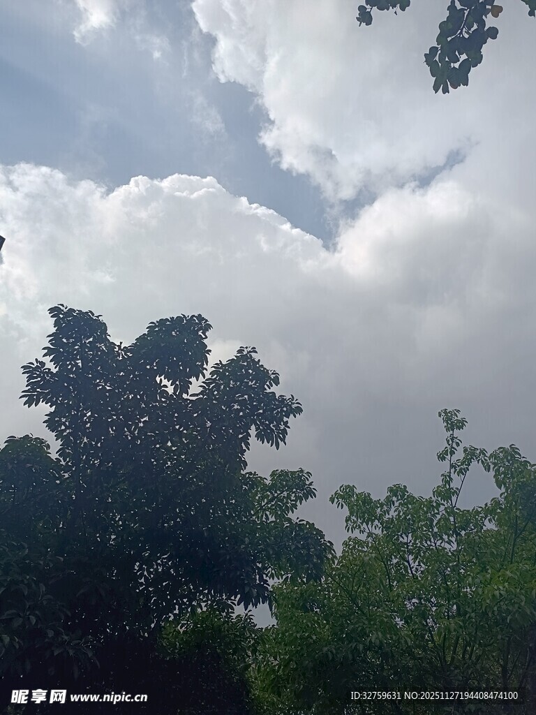 树梢之上的蓝天白云