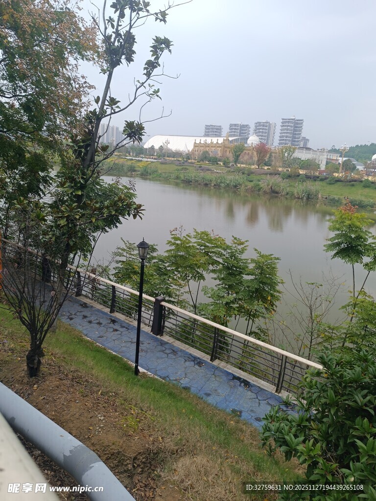 河畔绿植与远处城市景观