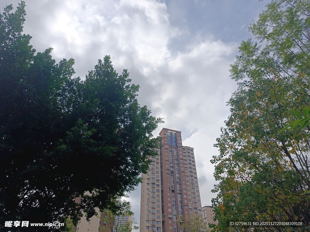 城市中树木环绕的高楼
