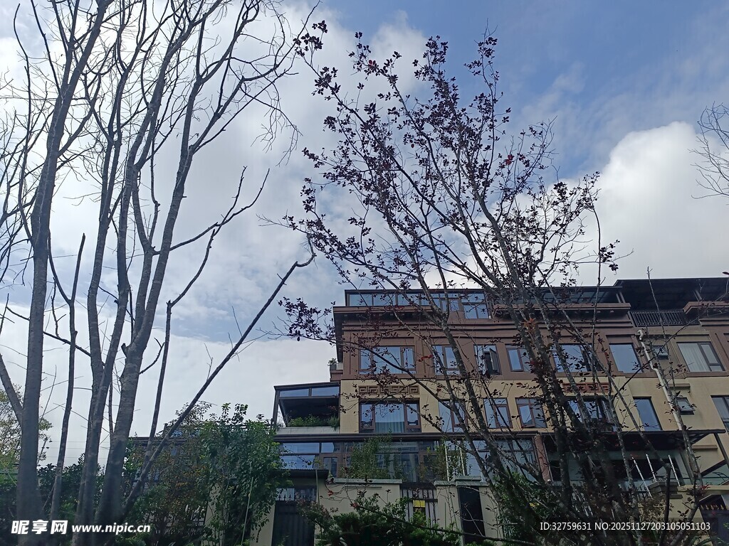 山林间的现代风格建筑