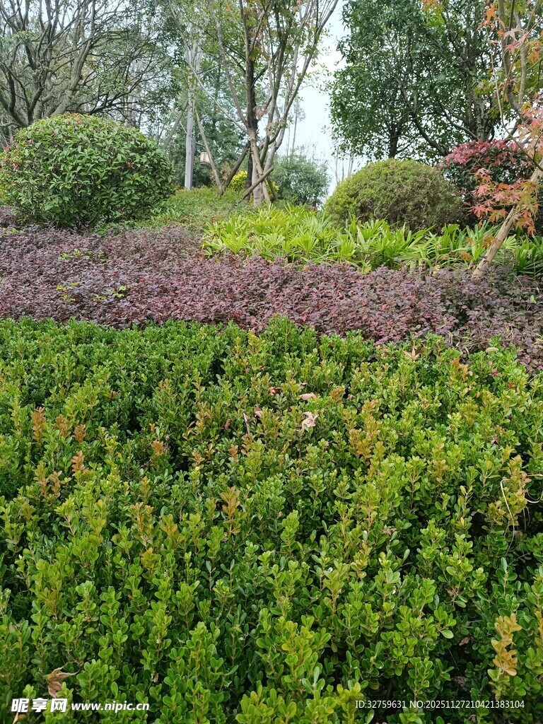 绿意盎然的园林景观