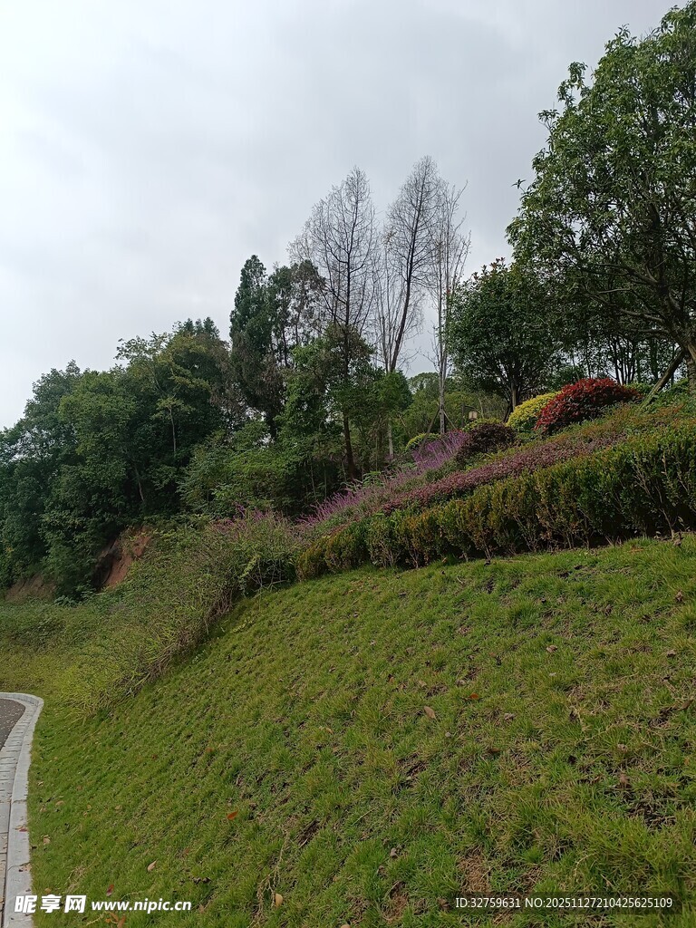 山坡绿植景观
