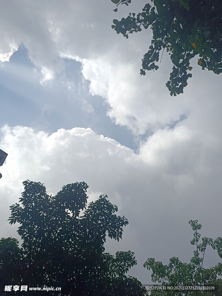 树梢间的蓝天白云