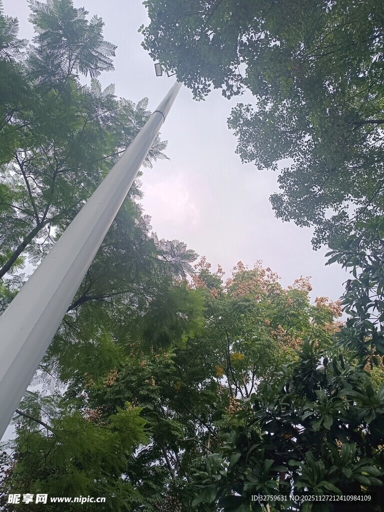 林间高耸的白色风力发电机