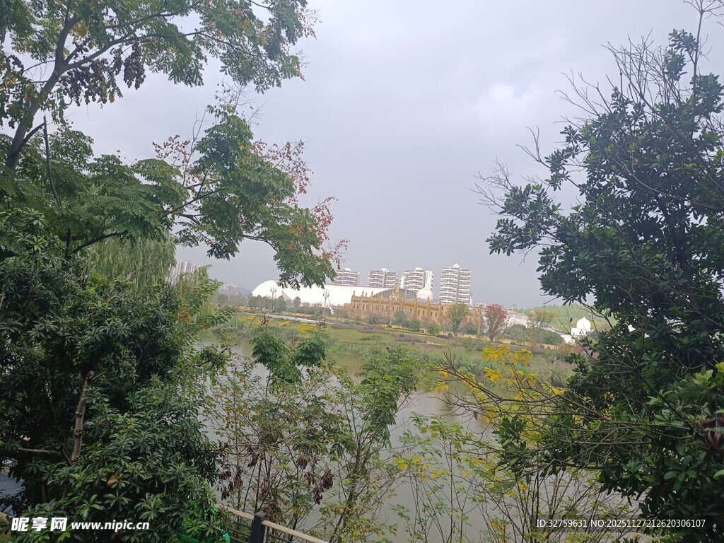 林间远望的开阔景致