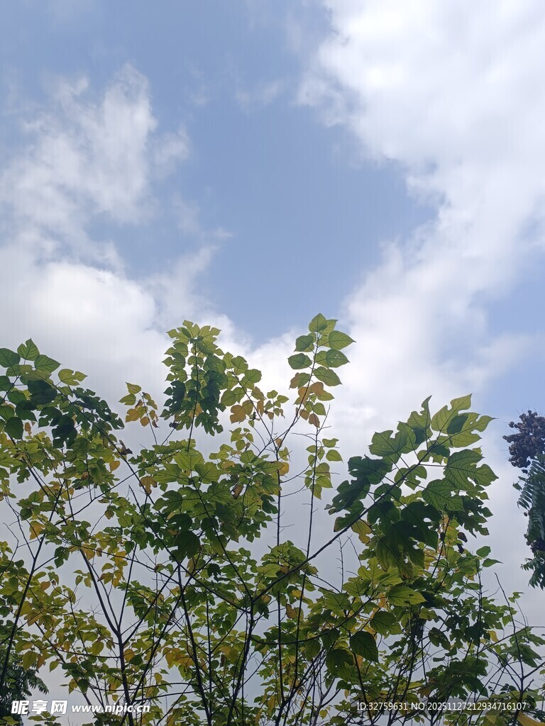 蓝天绿树间的清新景致