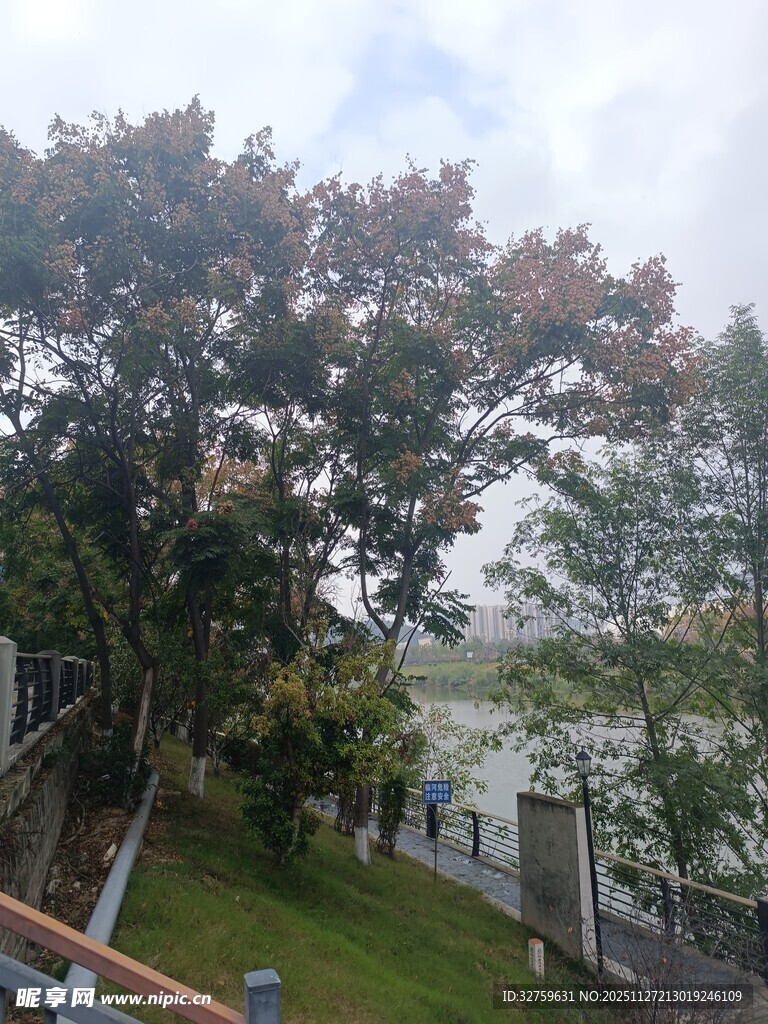 户外绿树环绕的自然景致