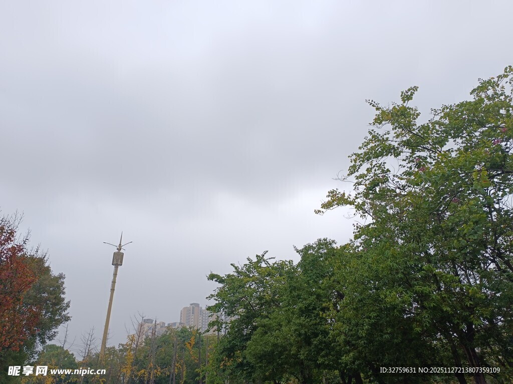 阴天里的树木与远处建筑