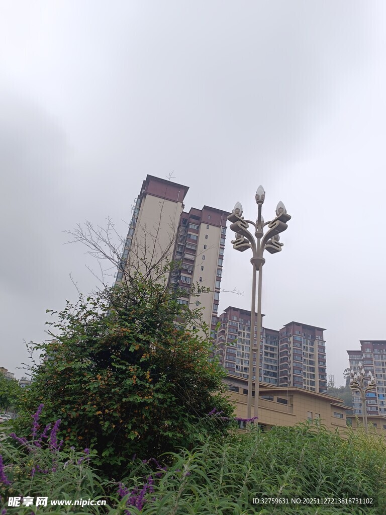 城市高楼旁的绿植景观