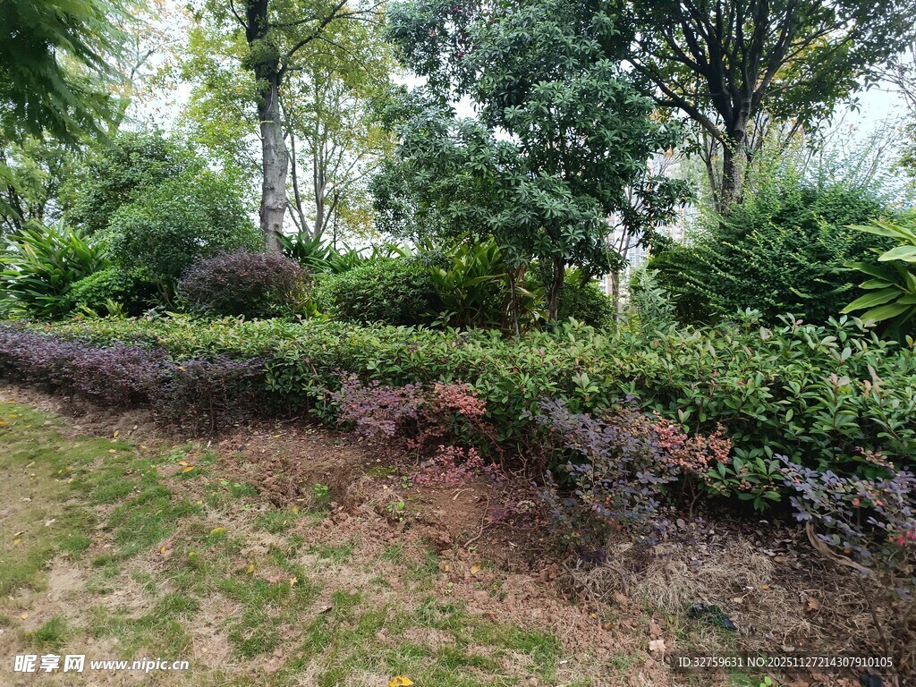 户外绿植景观一角